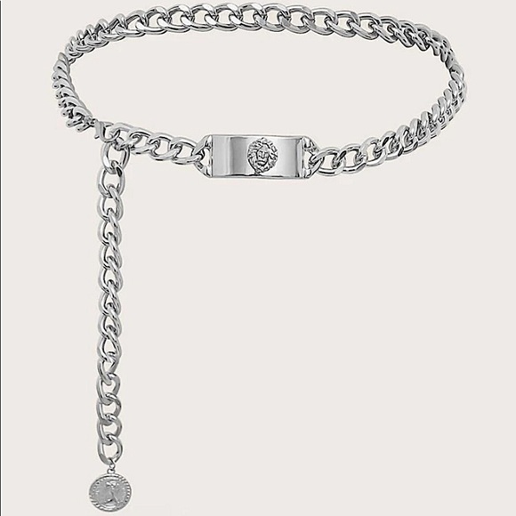 Silver Coin Chain Belt - Picture 2 of 4